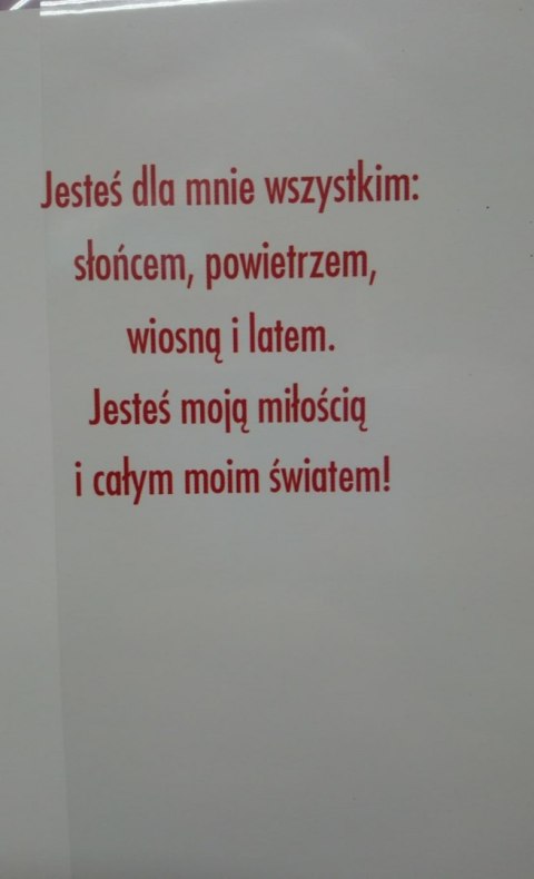 WALENTYNKI - KARNET WALENTYNKOWY. KARTKA Z ŻYCZENIAMI WALENTYNKI - KARNET WALENTYNKOWY. KARTKA Z ŻYCZENIAMI