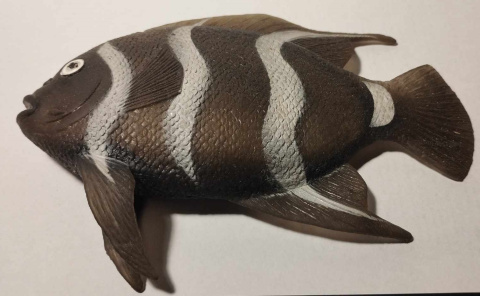 FIGURKI ZWIERZĄT - RYBA Z GROSZKIEM 16cm FIGURKI ZWIERZĄT - RYBA Z GROSZKIEM 16cm